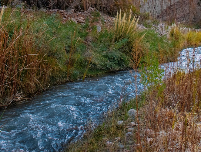 Imagen de Servicios ecosistémicos y contribuciones de la naturaleza desde perspectivas económicas y socioculturales