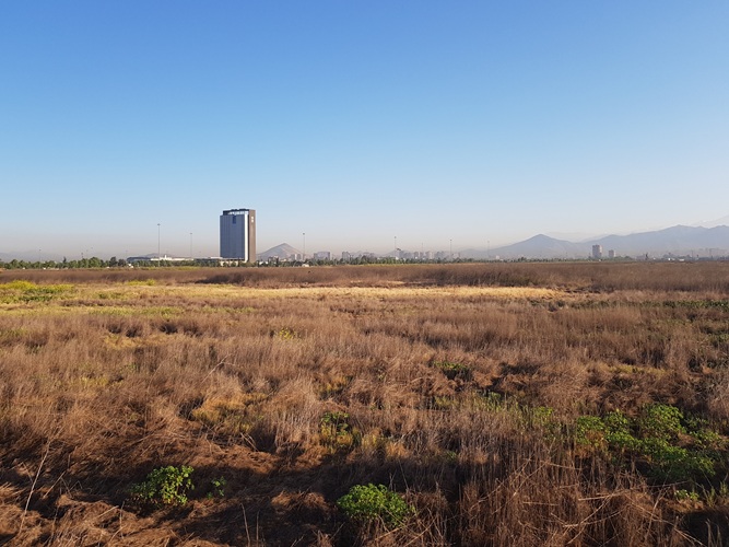 Imagen de Ecología, conservación y sostenibilidad urbana