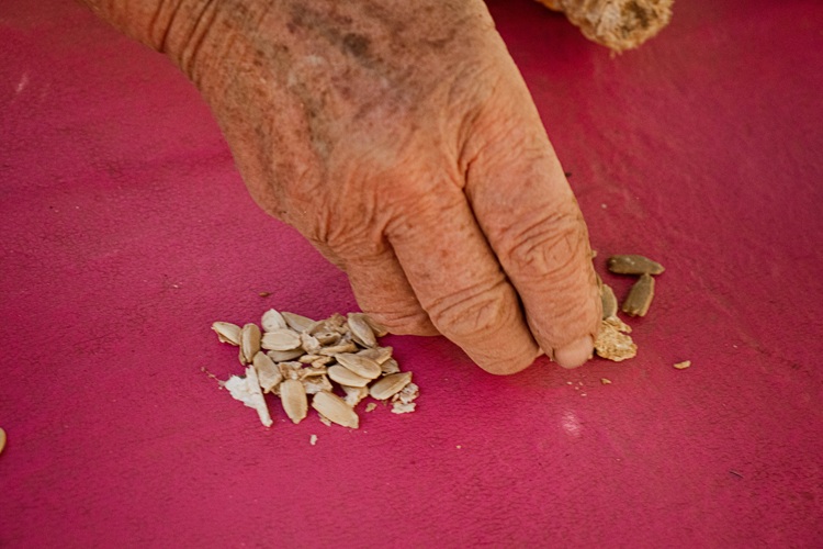 Imagen de Restauración del vínculo humano-naturaleza