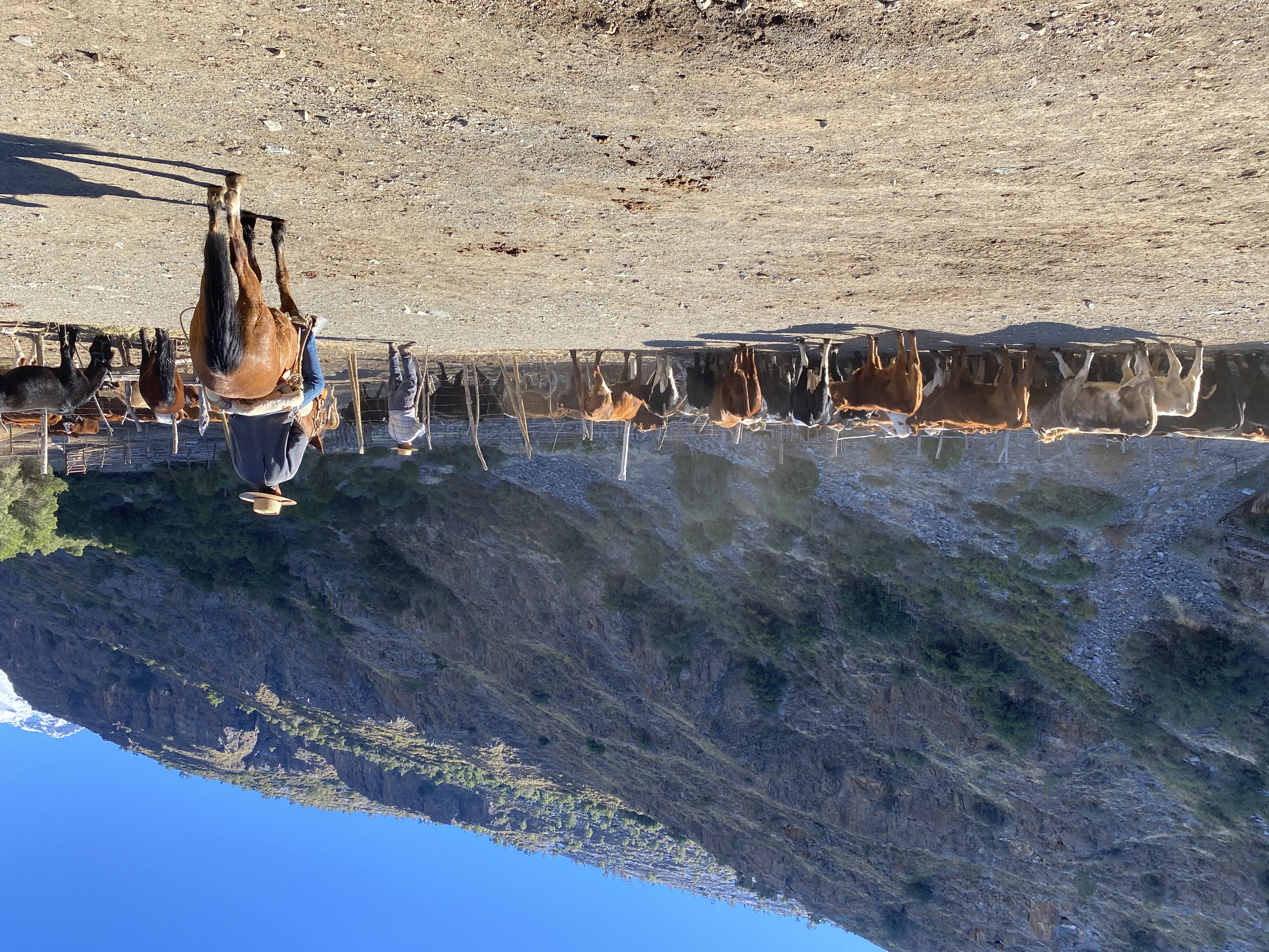 Parte nuevo curso "Multiples valores de la naturaleza"