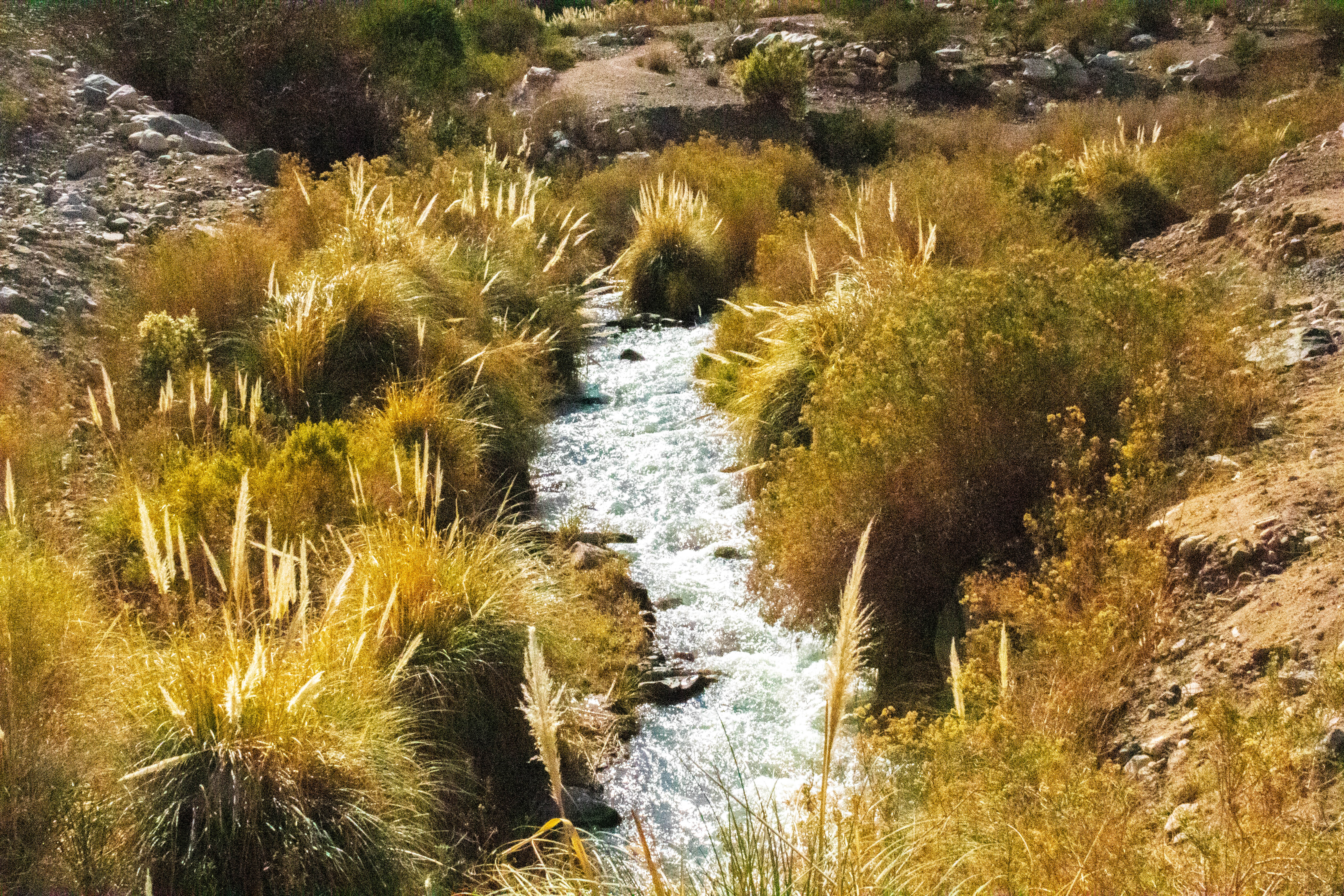 Imagen de Estudio revela que los habitantes del Atacama valoran el desierto más allá del agua: identidad, vida y justicia ambiental también son servicios ecosistémicos