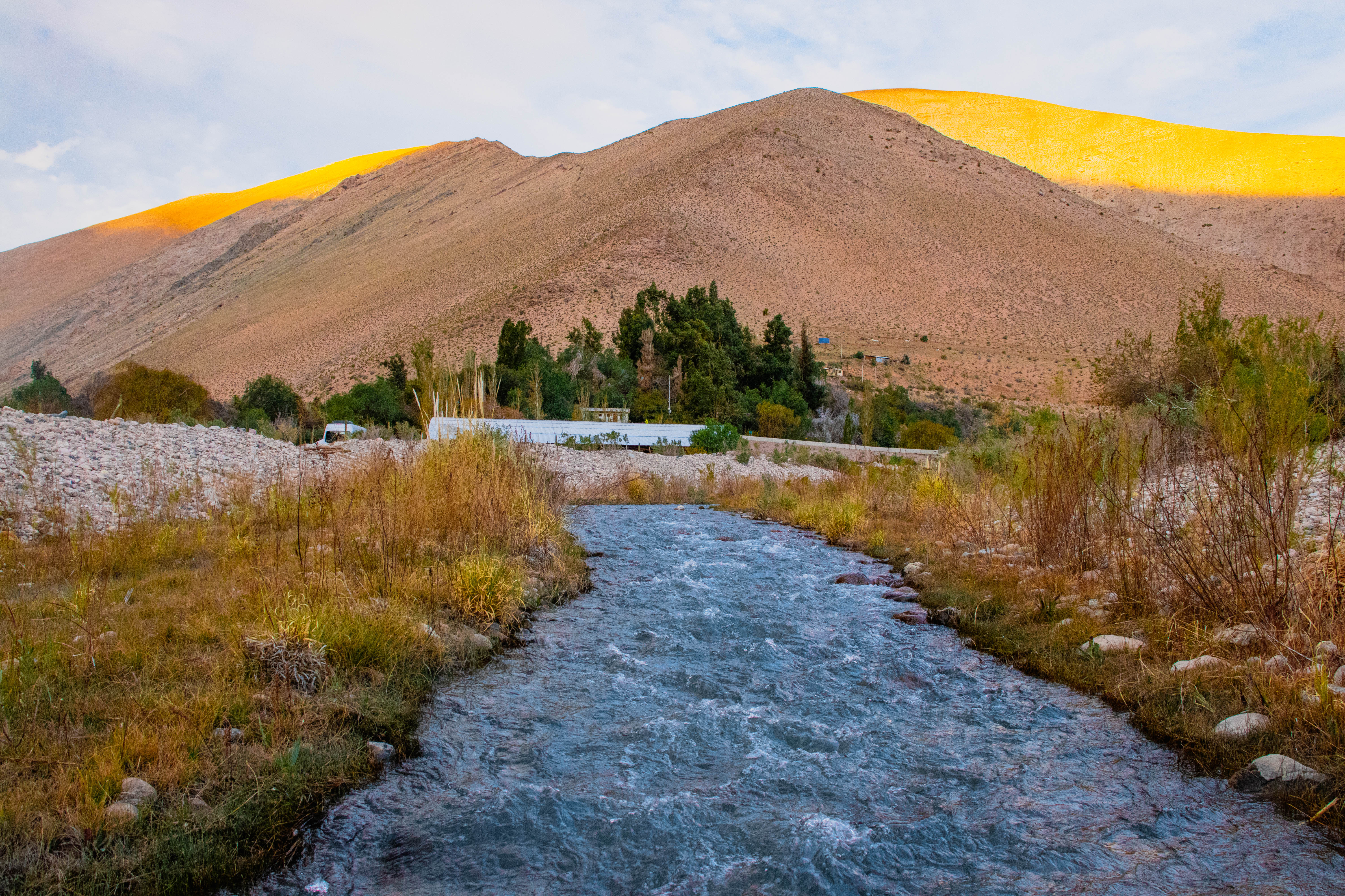 Proyecto de Valores de la Naturaleza entrega resultados a la comunidad