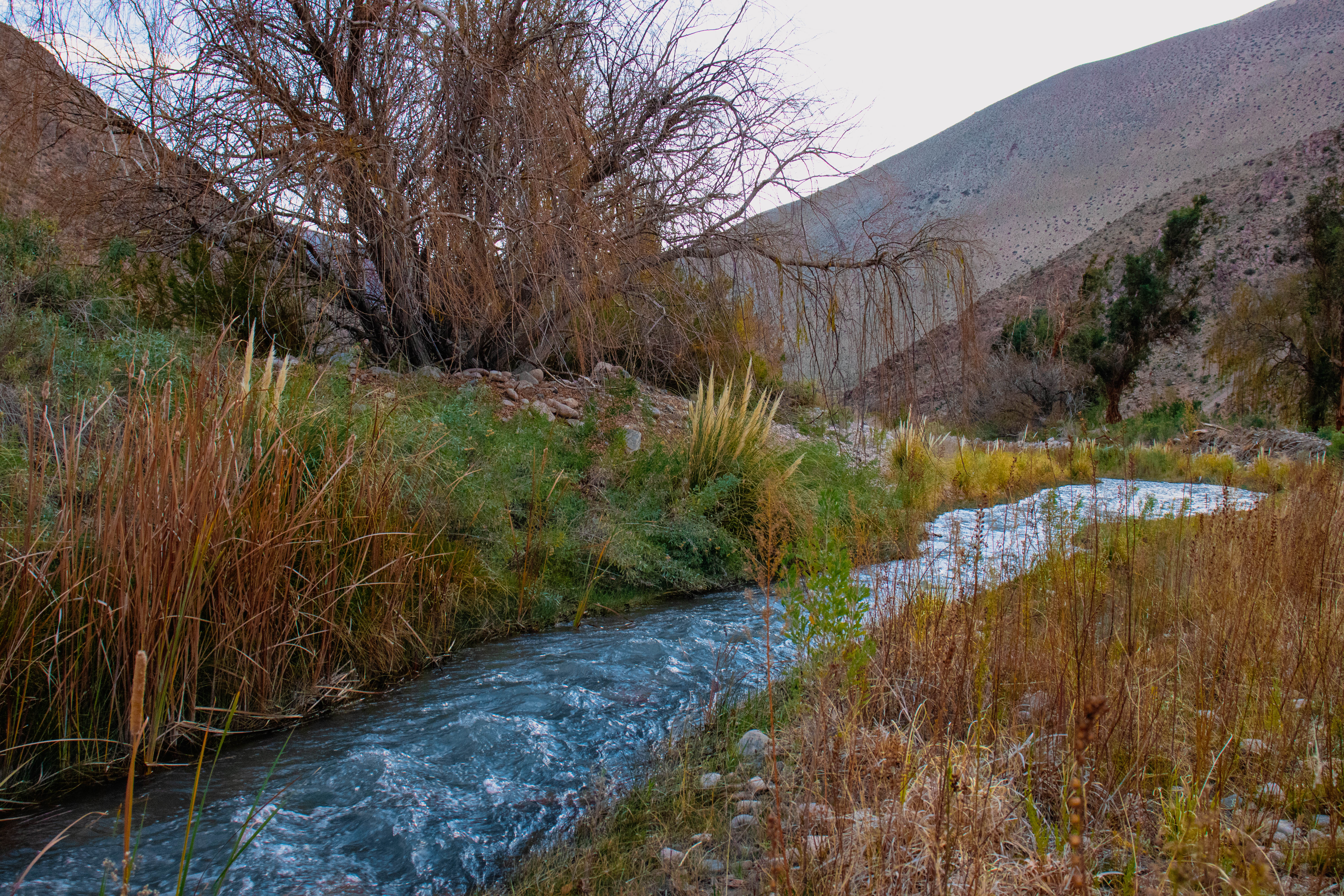 Imagen adicional 2 de Estudio revela que los habitantes del Atacama valoran el desierto más allá del agua: identidad, vida y justicia ambiental también son servicios ecosistémicos